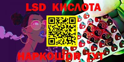 мдпв Кимры